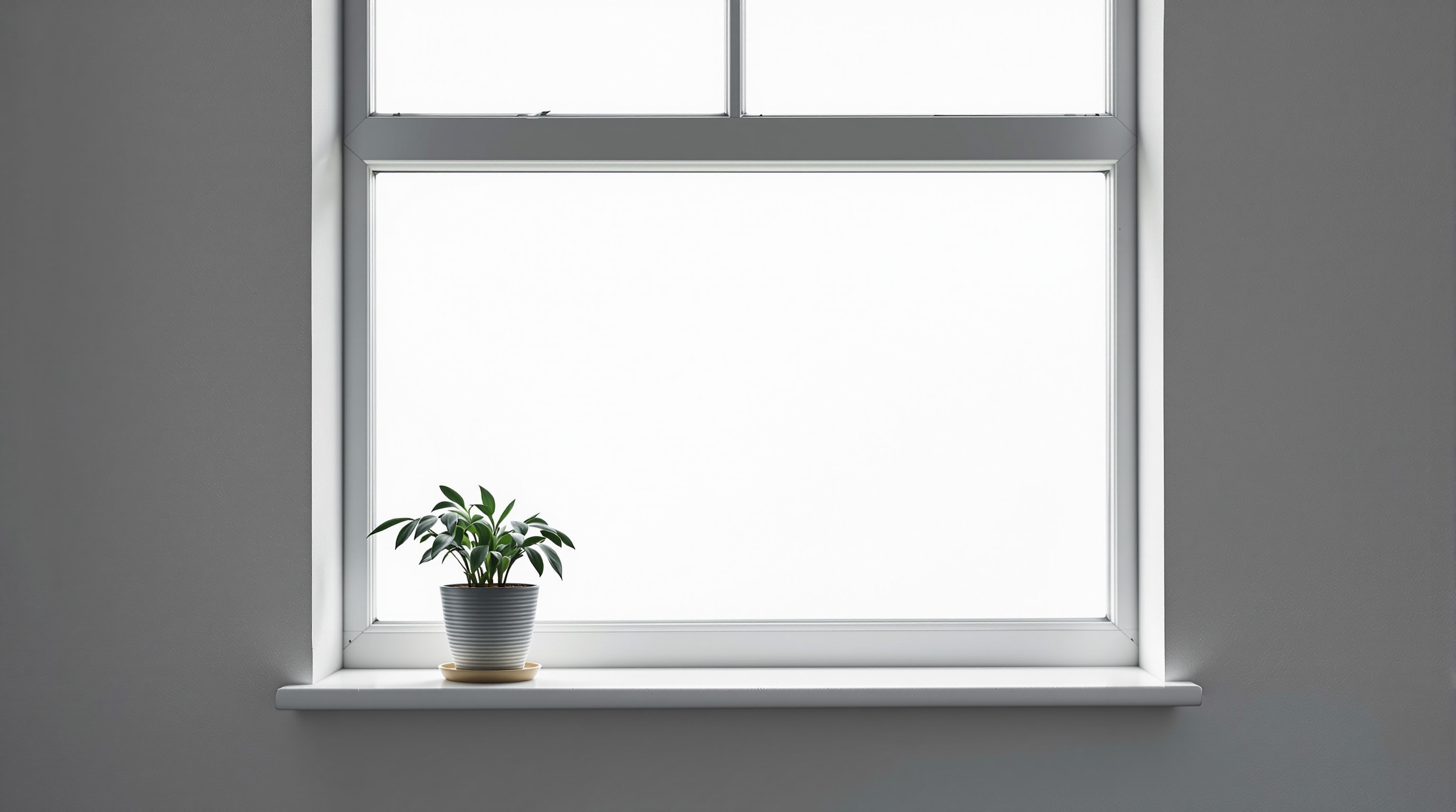 A quiet window with soft daylight and a houseplant