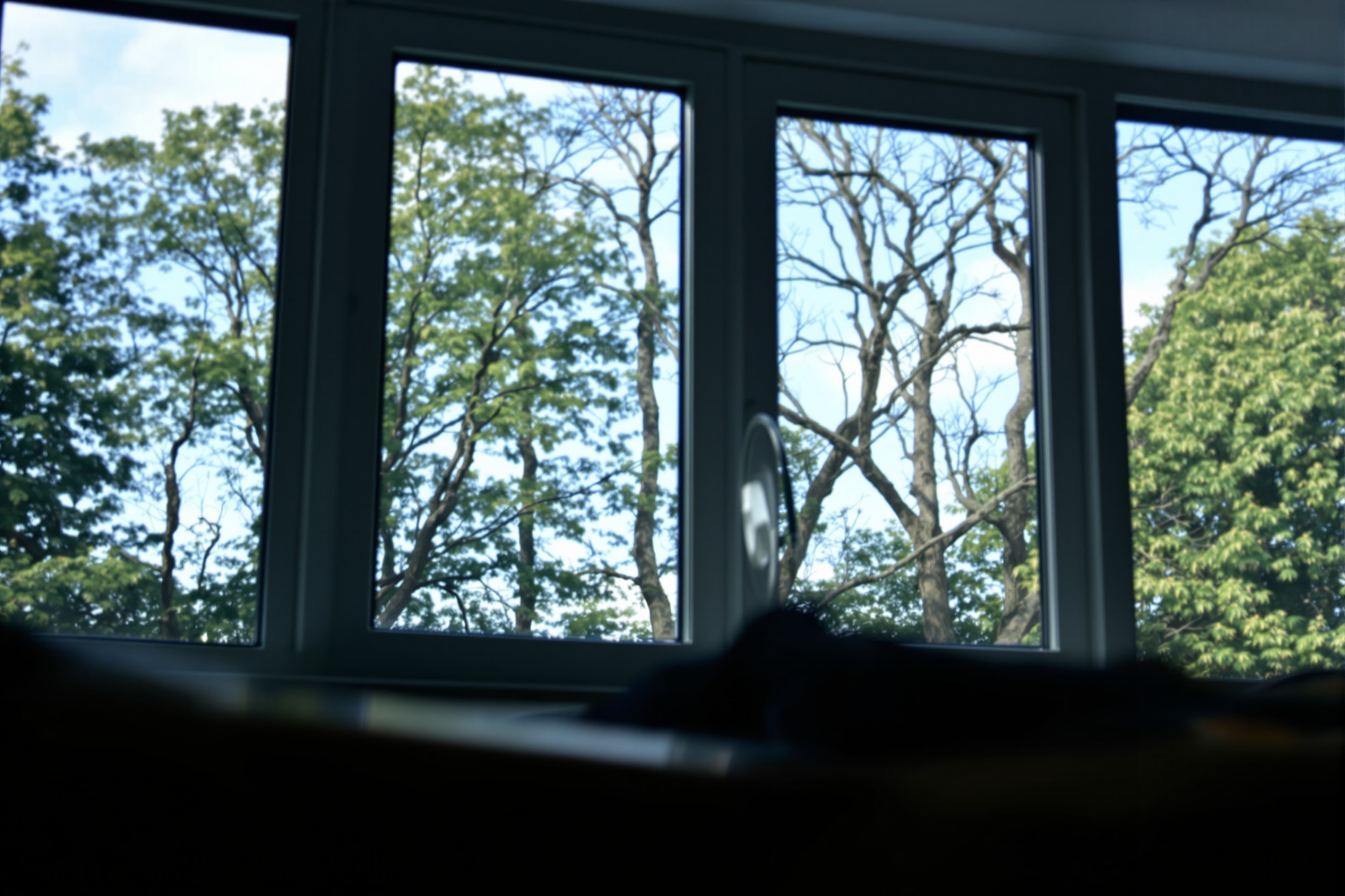 View through a classroom window from a pupil's desk